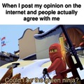 Could I be the green ninja?