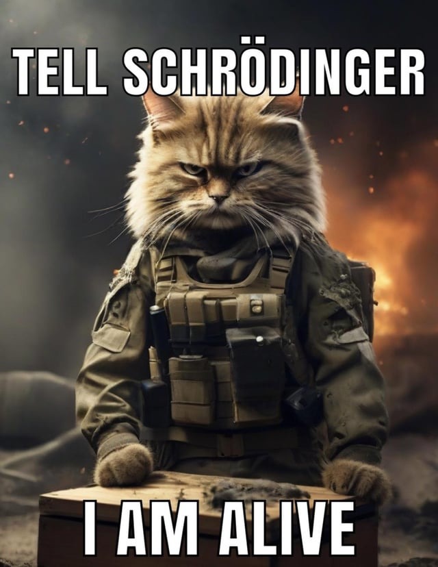 Tell Schrodinger - meme