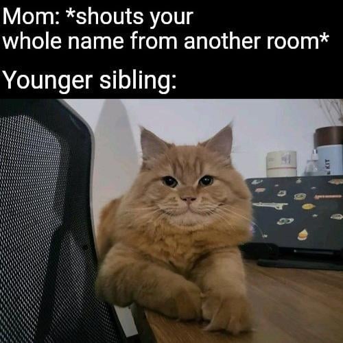 Youber sibling meme