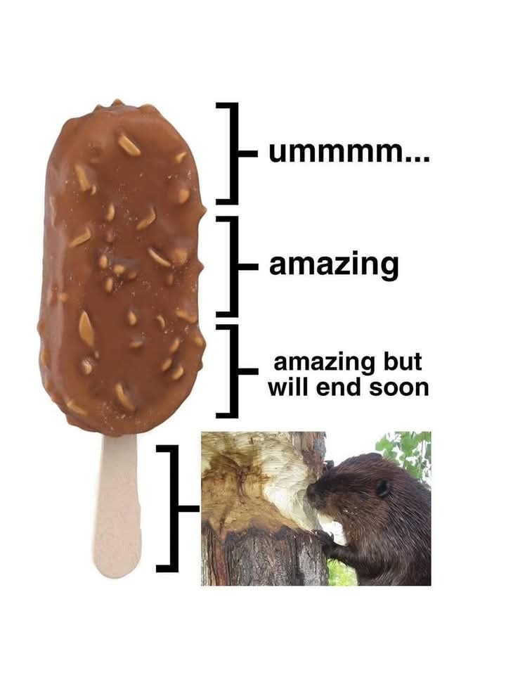 Chainsaw mode on - meme