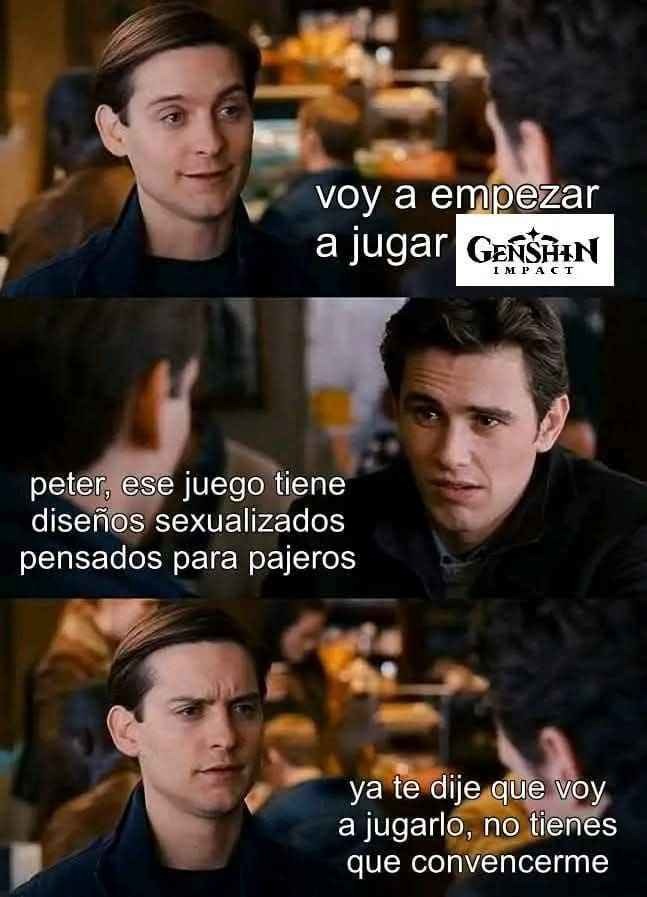 Fans promedios de genshin impact cuando hablas sobre el juego: - meme