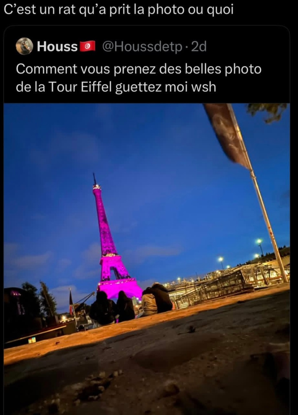 Photo rat + flou + angle bizarre = Tour Eiffel version indigestion - meme