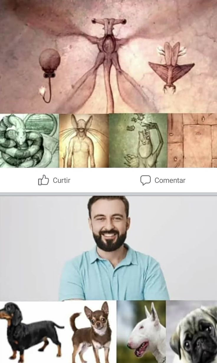Esto dice mucho - meme