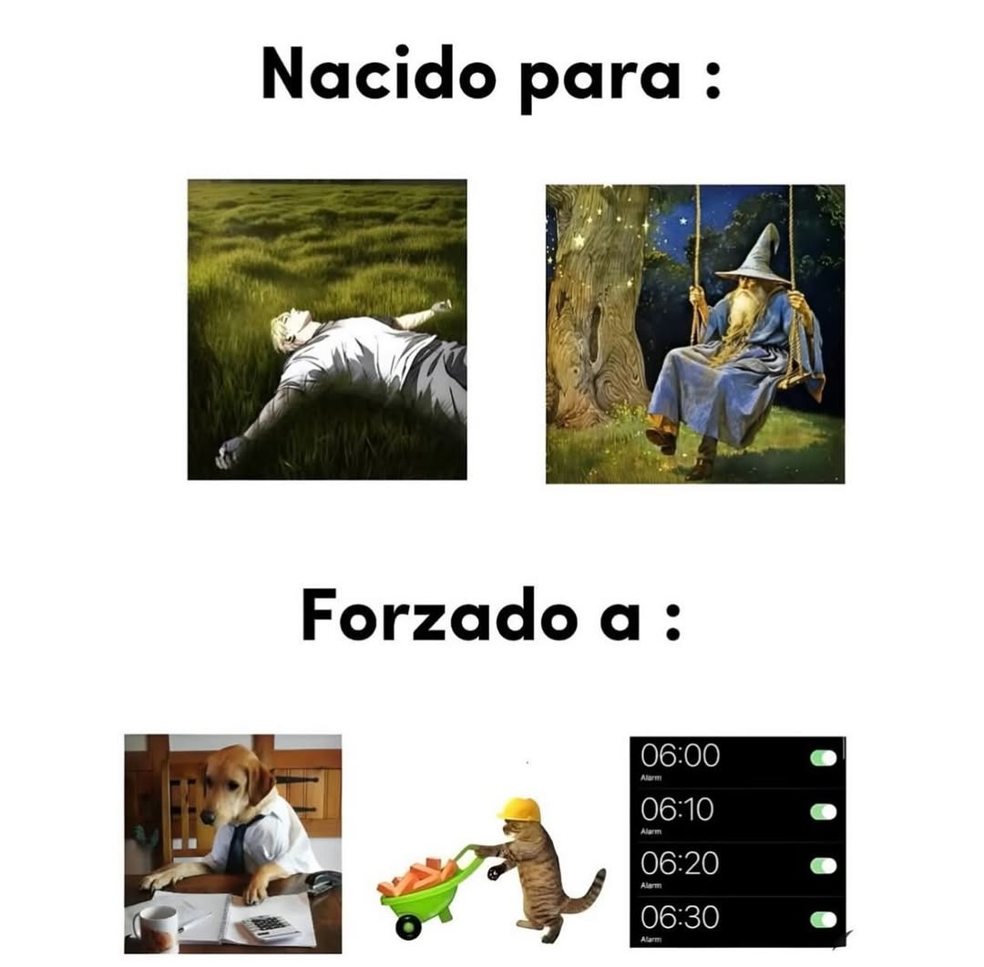 Nacido para dormir, forzado a madrugar - meme