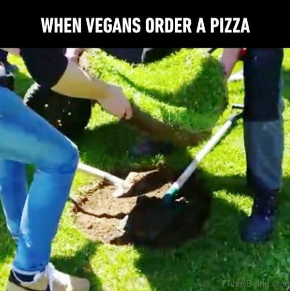 Vegan food - meme