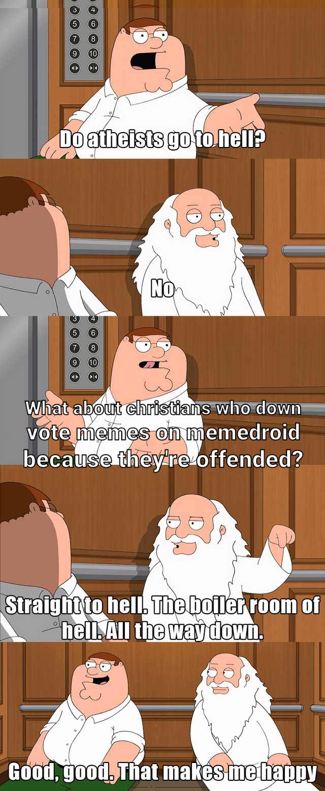 Go ahead down vote it snowflake - meme