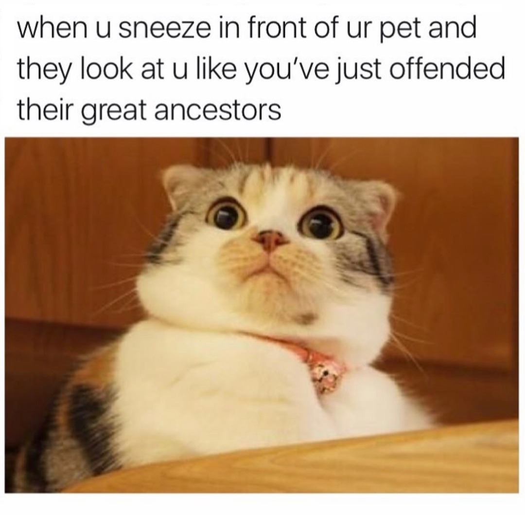 greatest ancestors - meme