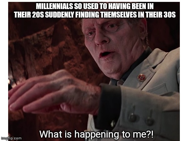 Millennials on their 30s birthday meme
