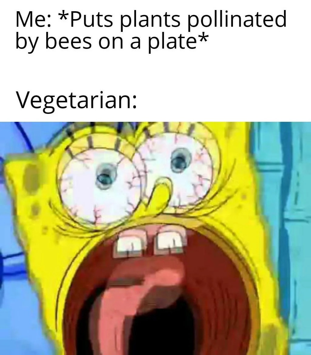 Vegetarians be like - meme