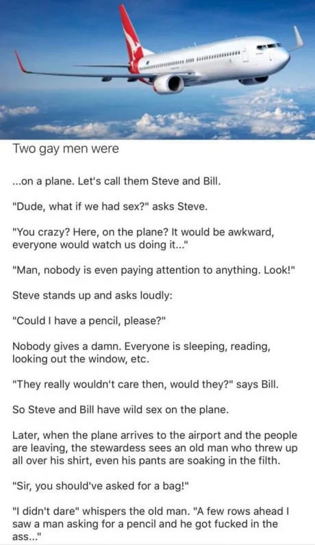 Two gay men were on a plane - meme