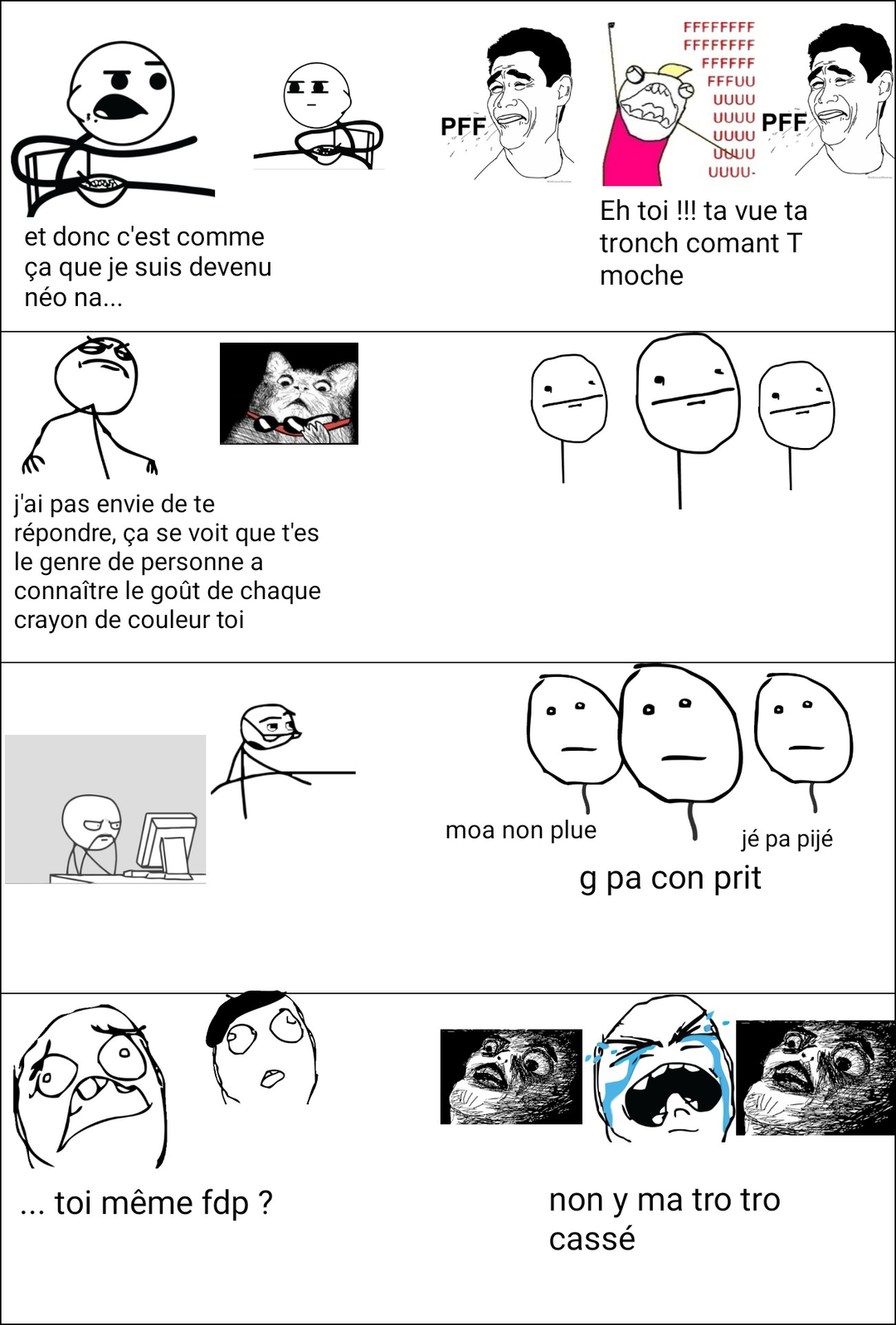 Chroniques de la vie de destroyerstellaire #1 - meme
