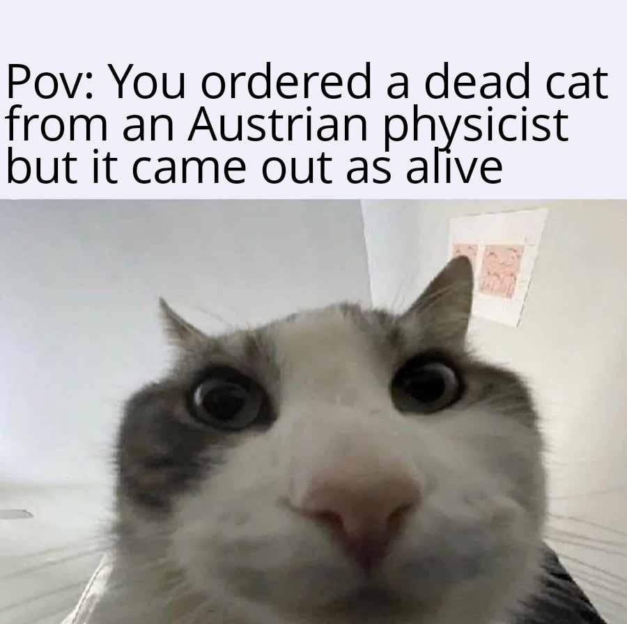 POV: You ordered a dead cat from an Austrian physicist, but it came back alive - meme