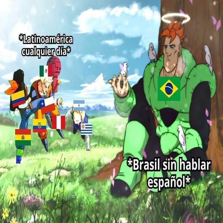Latinoamérica intentando hablar como país unificado - meme