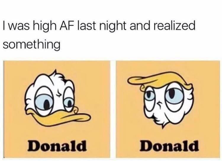 Donald the Duck Trump - meme