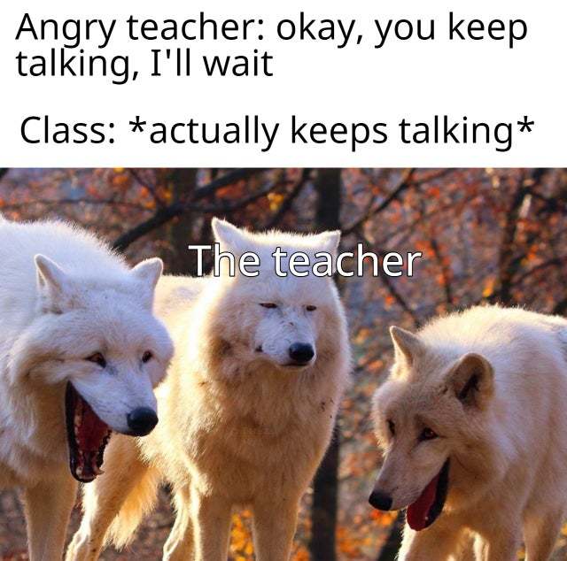 Angry teacher - meme