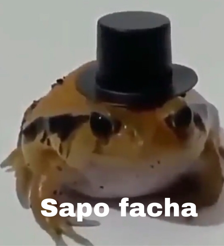 Sapo facha - meme