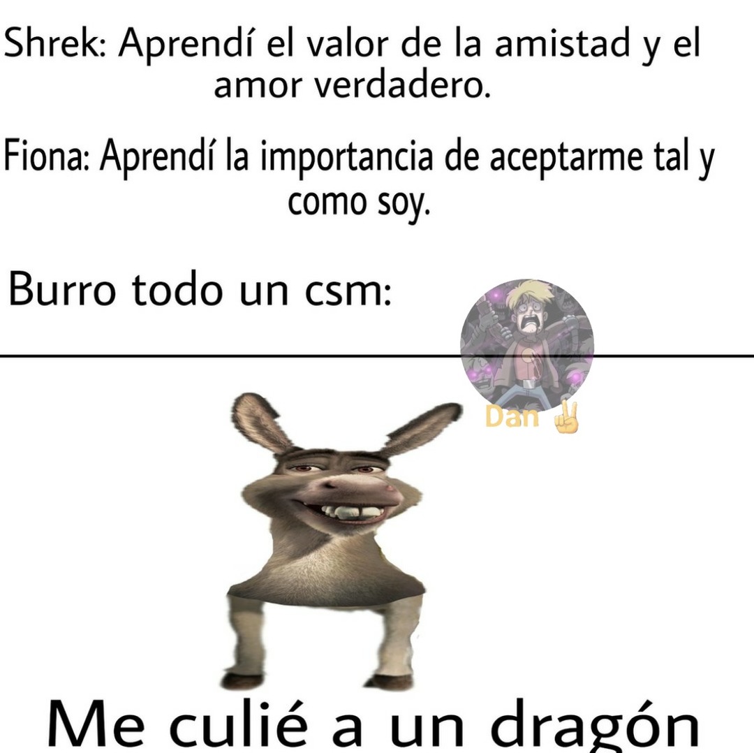 memes burro shrek