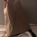 Bag Cat