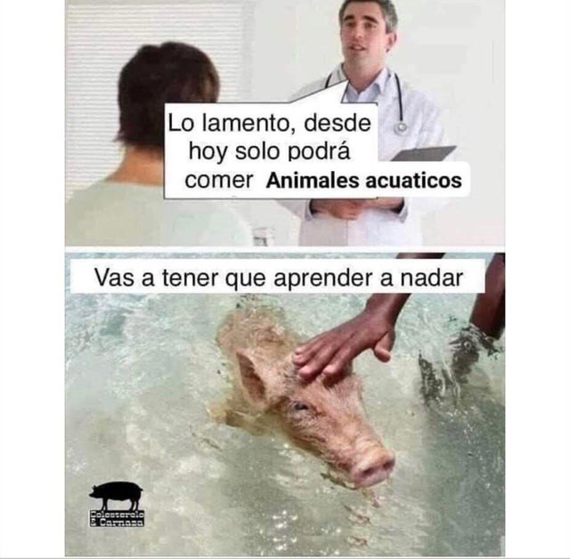 animales acuaticos - meme
