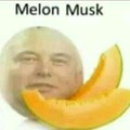 Melon musk (idea usada)