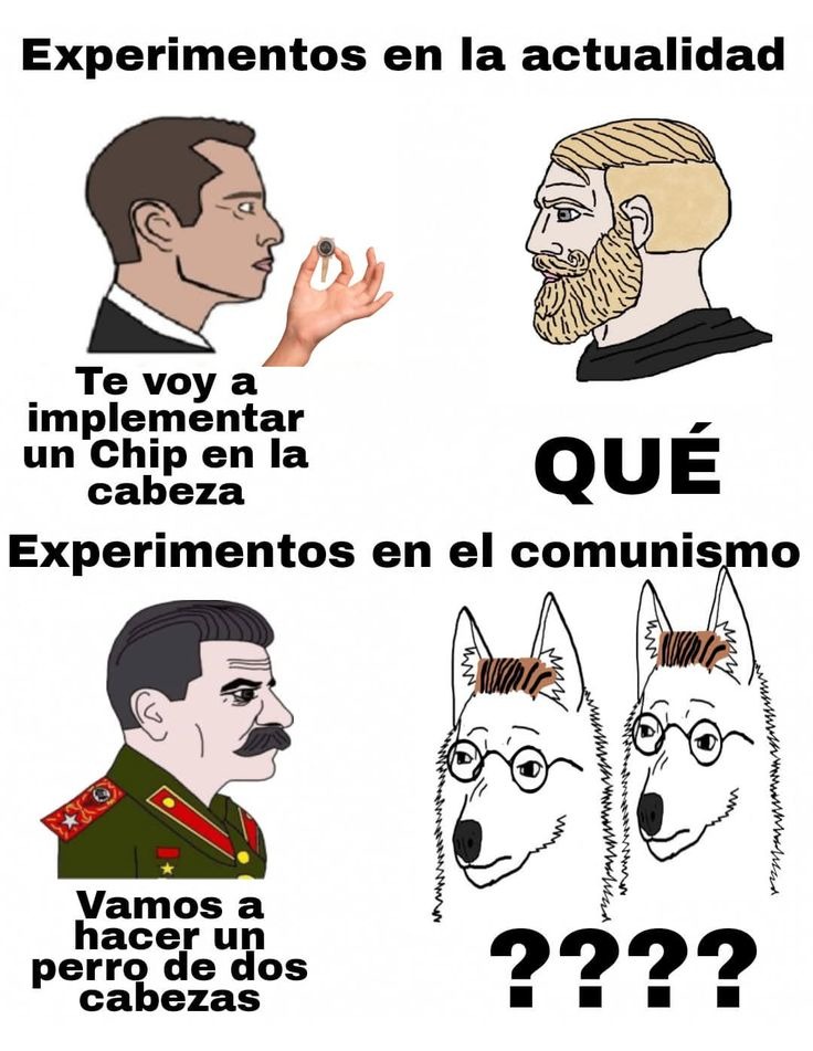Xqa - meme