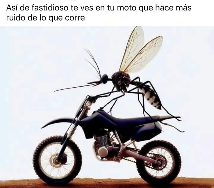 Ahre - meme