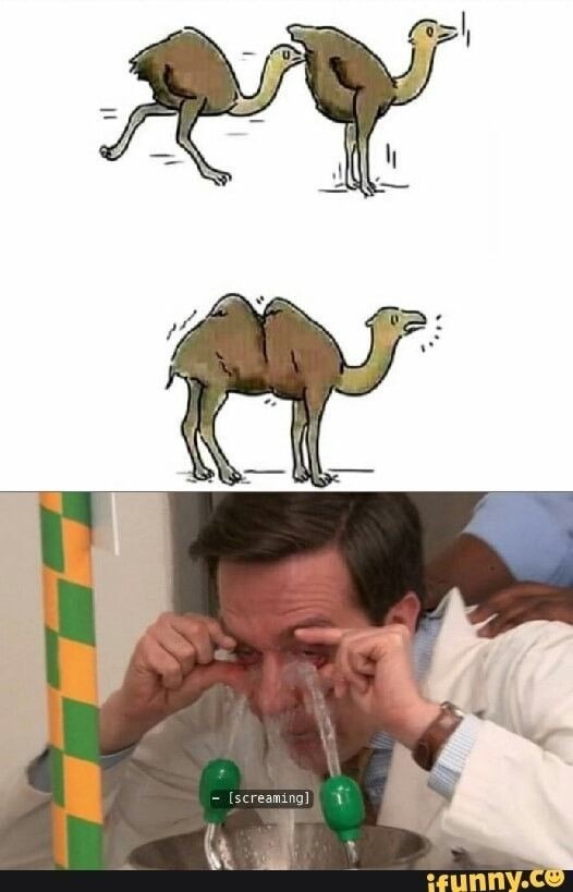 Camello lore resumen - meme