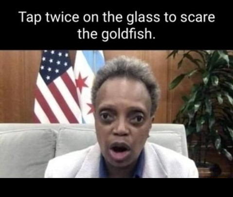 Goldfish eyes - meme