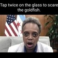 Goldfish eyes
