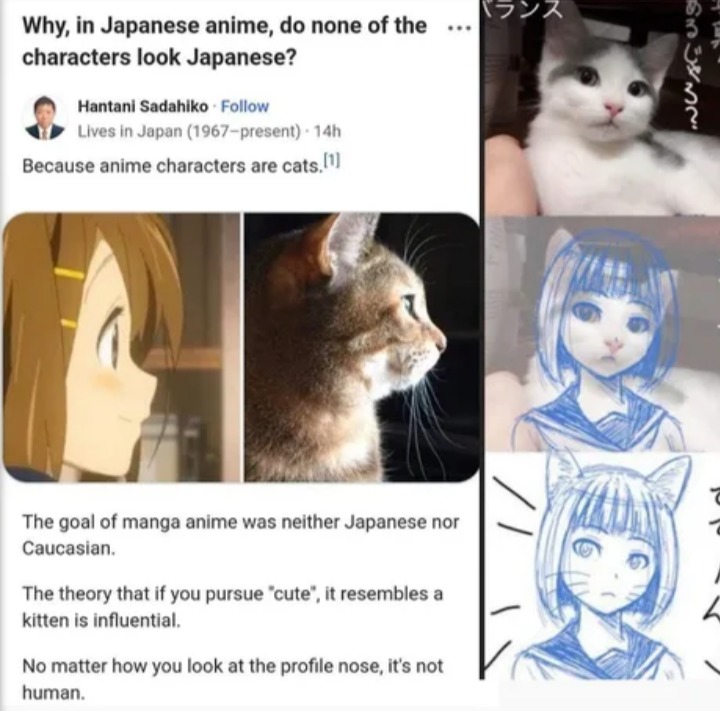 REAL CAT GIRLS CAN BE VERY DISAPPOINTING - Funny Anime Memes 