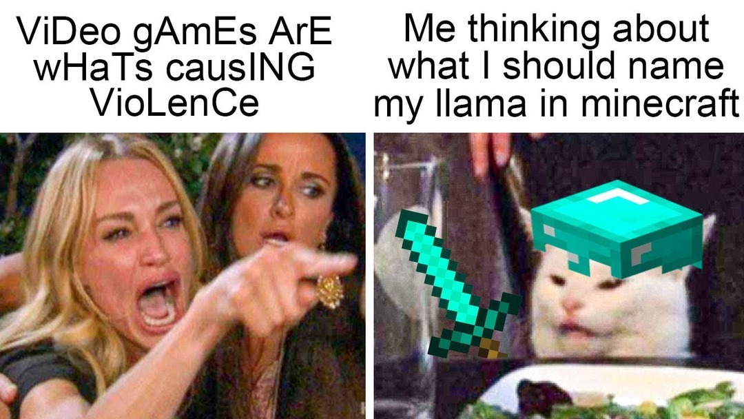 Karen vs cat and Minecraft - meme