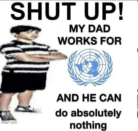 dongs in a UN - meme