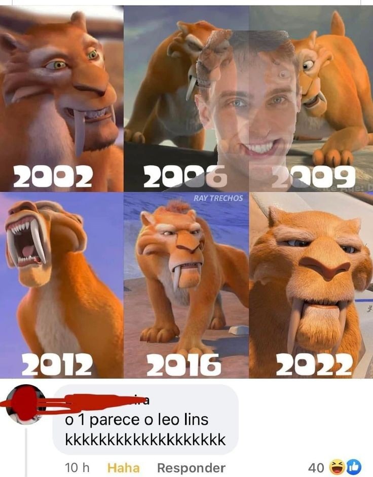 Diego Lins - meme