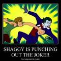 shaggy is too much