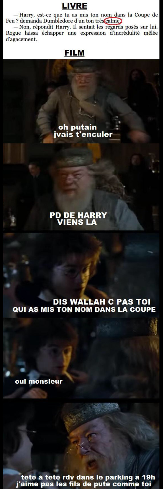 Harry potter - meme