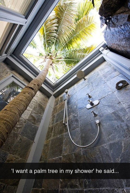 Palm tree in shower - meme