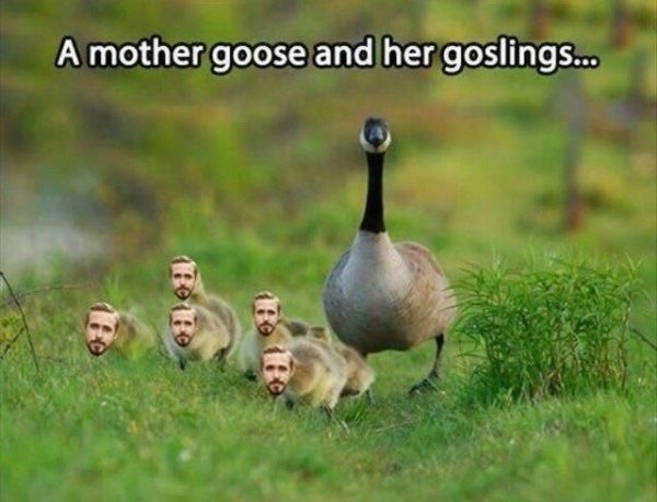 Gosling is lowkey ugly. - meme