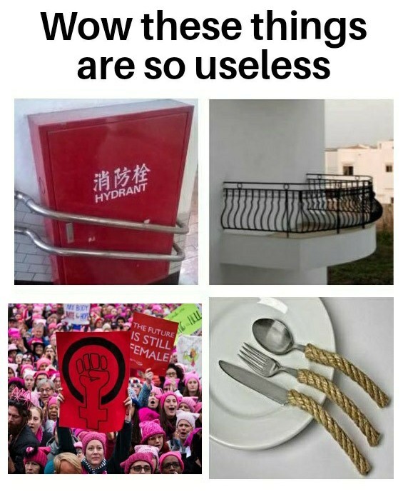 Useless Feminists - meme