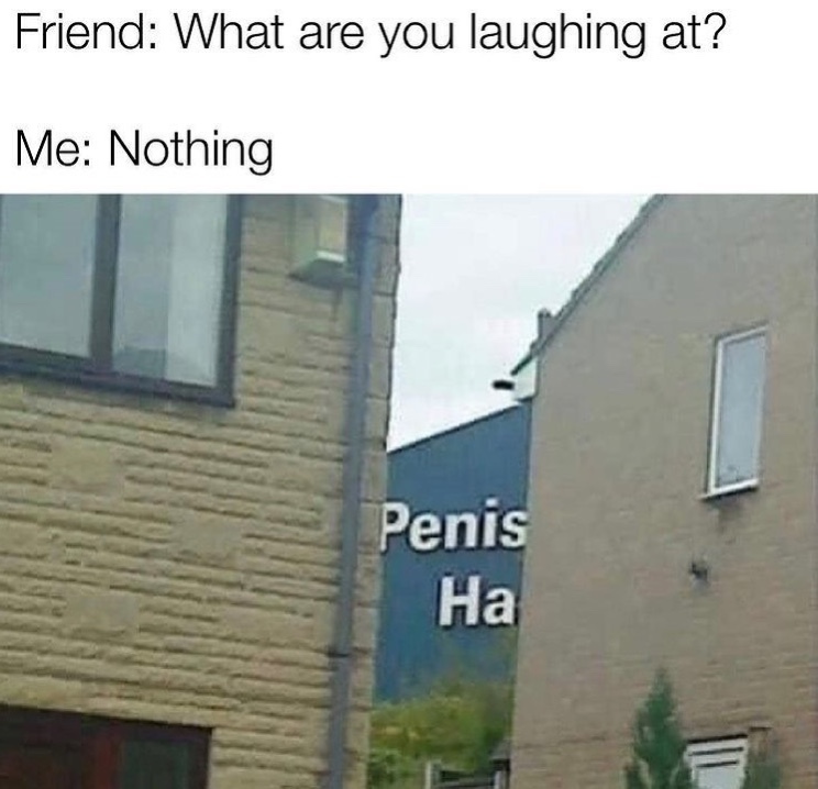 penis ha - meme