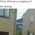 penis ha
