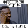 coconuts are mammals