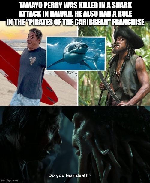 Tamayo Perry death meme