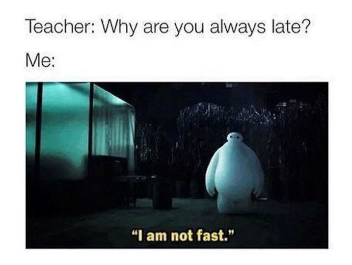 Built for feed not speed - meme