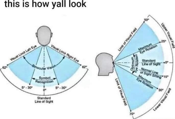 Frfr - meme