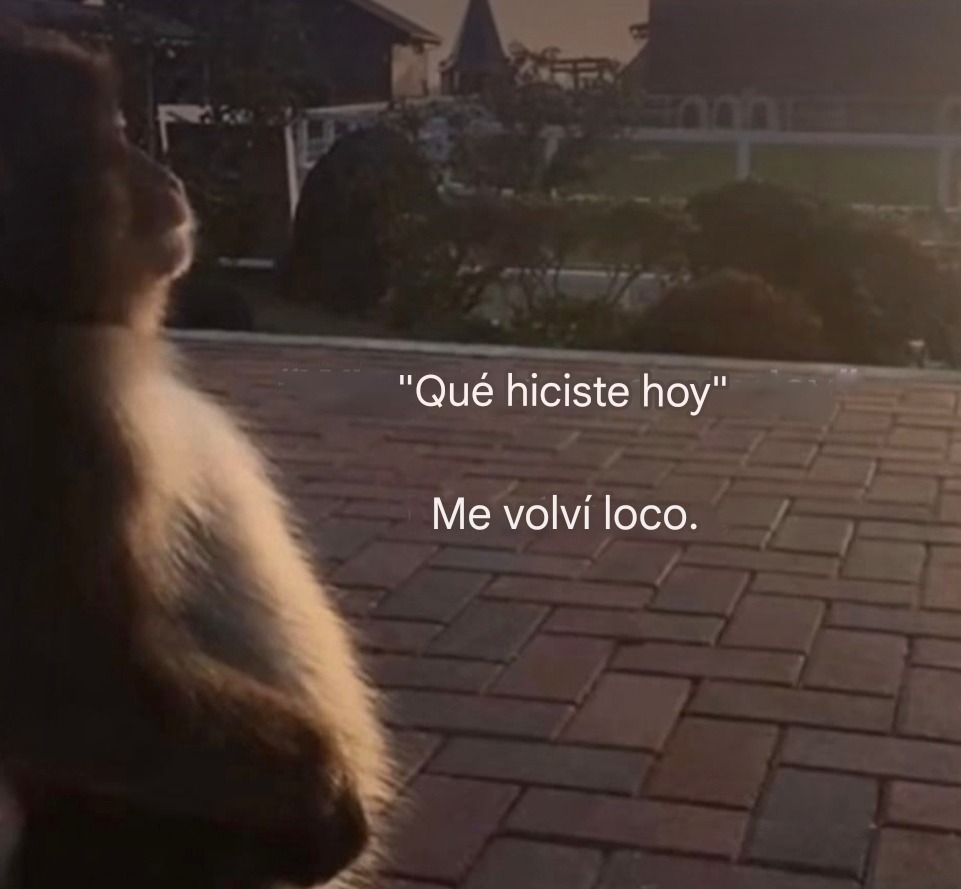 Que hiciste hoy? Me volví loco y tú? - meme
