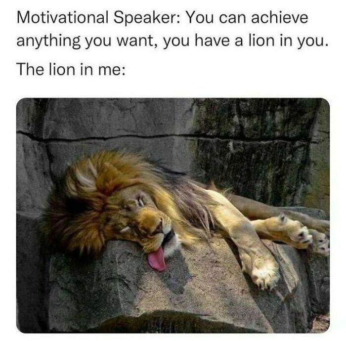 That lion in me isn’t roaring today - meme