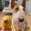 commented item thumbnail