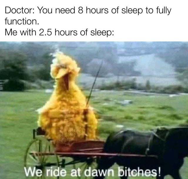 You need 8 hours of sleep to fully function - meme