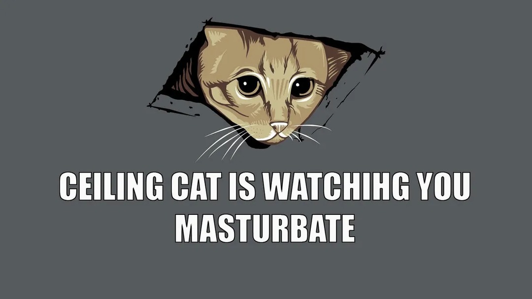 Ceiling cat is concerned - meme