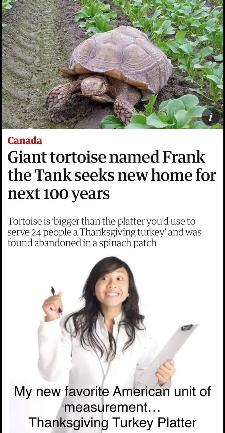 Giant tortoise named Frank the Tank seeks new home for next 100 years, Canada